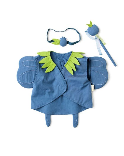 Blåbär DRESS-UP