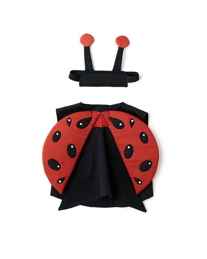Nyckelpiga DRESS-UP
